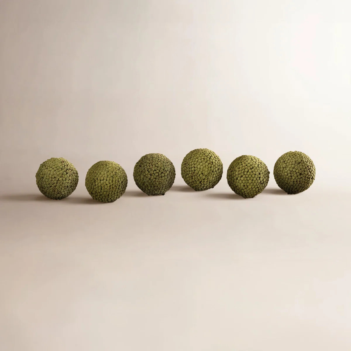 Landscape & Nature Vase Filler (Set of 6) | Wayfair North America