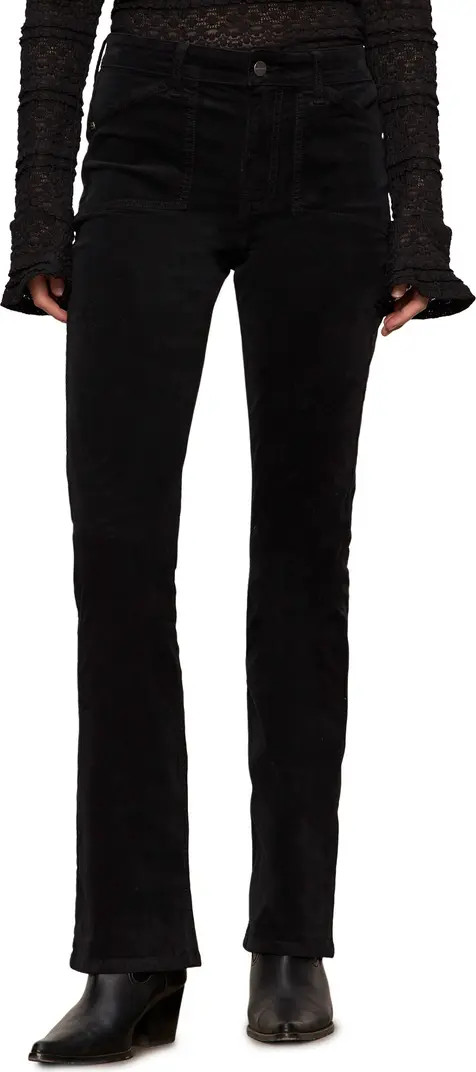 High Waist Bootcut Velveteen Pants | Nordstrom