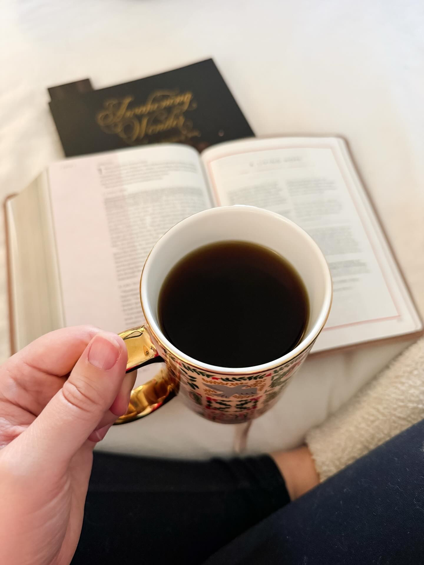 i had a hard day yesterday. a bad attitude around every corner kind of day. i took a nap after church and the bad attitude persisted even after i woke up. i went out to do some holiday shopping and thought it cleared away, and it returned as soon as I crossed the threshold and entered the door. 

but i refuse to let a bad attitude remain during this season. whether it’s hormonal, or just plain sin, i’m determined to set into practice a way to slow my mind and center my heart. i’m determined to set the mood in our home and for my kids. one of thankfulness and joy… one of kindness and love. 

i love the season of advent. the anticipation. the centering of my mind and my heart. this year i’m gifting the kids some fun advent calendars so they can also feel that little bit of joy and anticipation each morning… but i’m also making sure we focus as a family (and my husband and I as individuals). I learned the hard way a few years ago to always order our advent studies as early as they are released, so this year we are prepared with the family bundle of advent devotionals from @thedailygraceco - and then I was also gifted a copy of the advent study for this year from @shereadstruth - perhaps the Lord knew that I was going to need some extra help centering my heart and mind this season. 😌 

#advent #adventseason #biblestudy #merrychristmas #momlife

#LTKGiftGuide #LTKdayinmylife #LTKHoliday