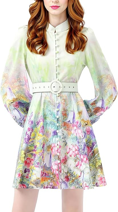 LAI MENG FIVE CATS Women's Lantern Sleeve Floral Print Button up Casual A-line Mini Dress | Amazon (US)