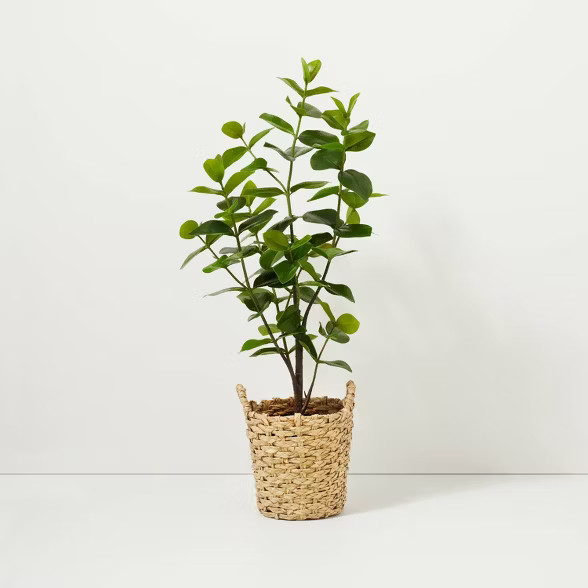 40" Faux Autograph Tree in Planter - Hearth & Hand™ with Magnolia | Target