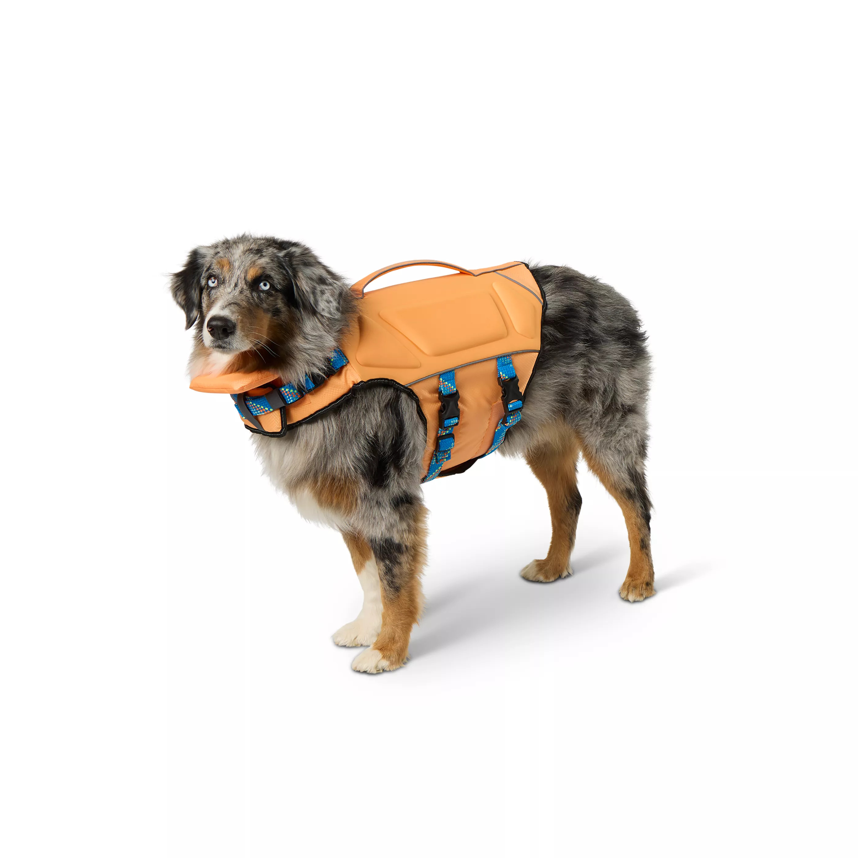 Arcadia Trail® High Visibility Lifejacket | PetSmart