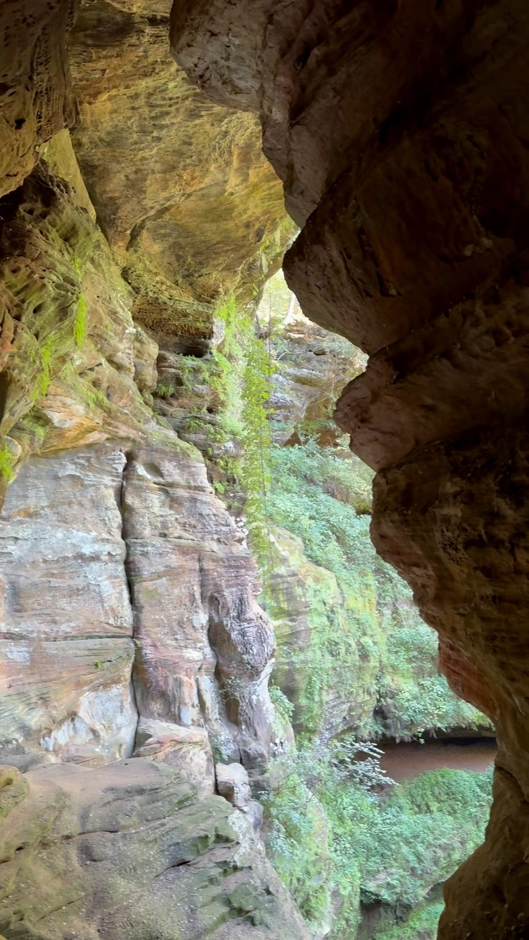 Another day, another hike! Hocking Hills you’ve been great!!!! Linking my hiking must haves, including the boys shoes or my backpack…both 10/10!!!! 

#LTKTravel #LTKKids #LTKActive
