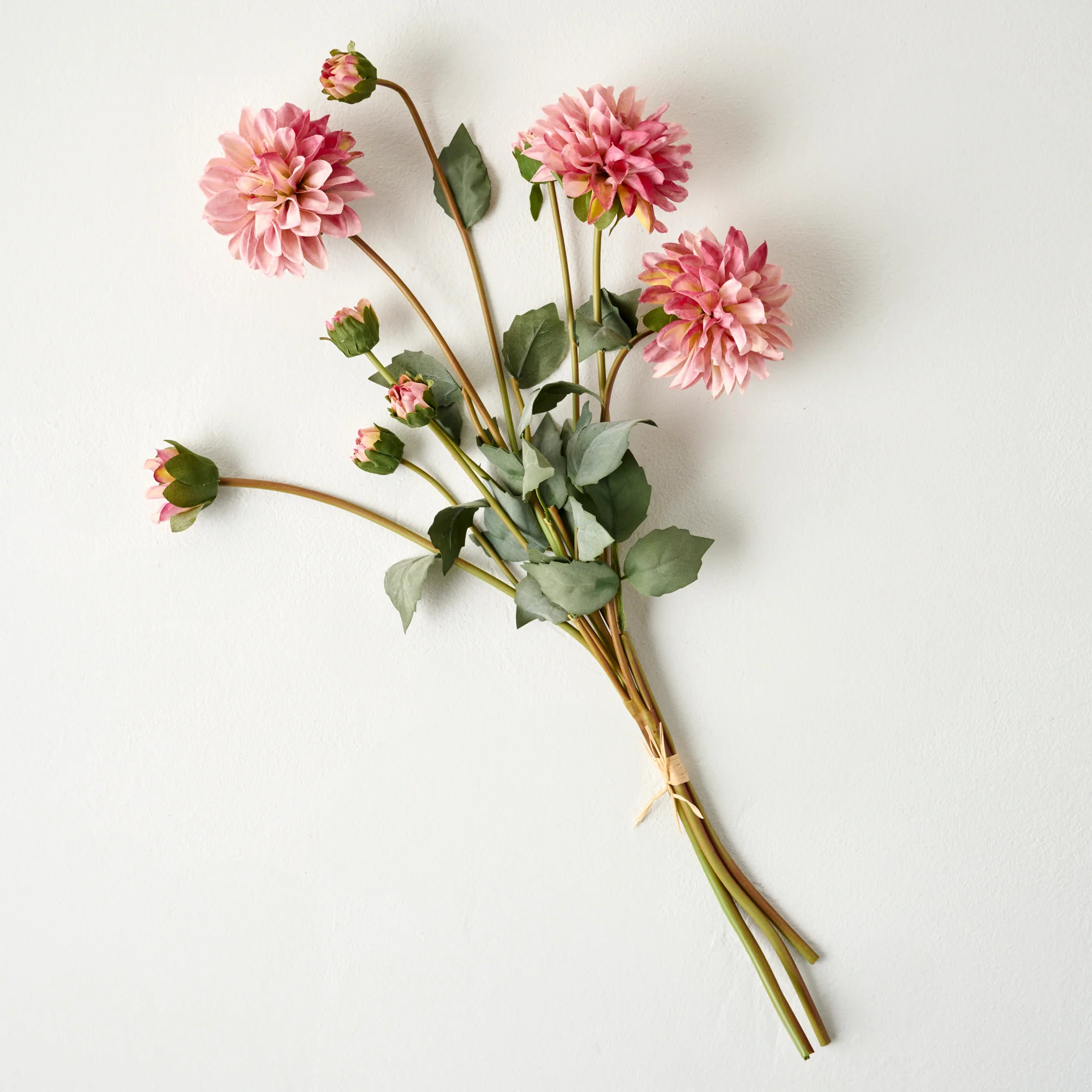 Dahlia Bloom Bundle | Magnolia