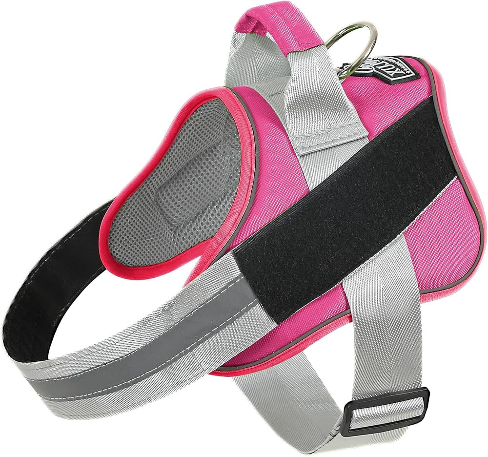 Dog Harness, No-Pull Reflective Dog Vest, Breathable Adjustable Pet Harness with Handle for Outdo... | Amazon (US)