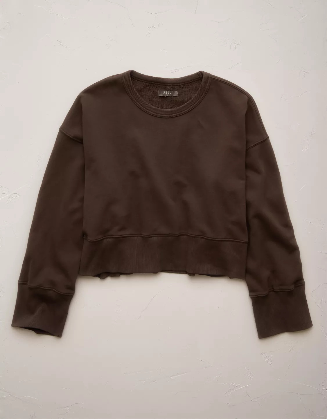 AE77 Premium Relaxed Cropped Sweatshirt | American Eagle Outfitters (US & CA)