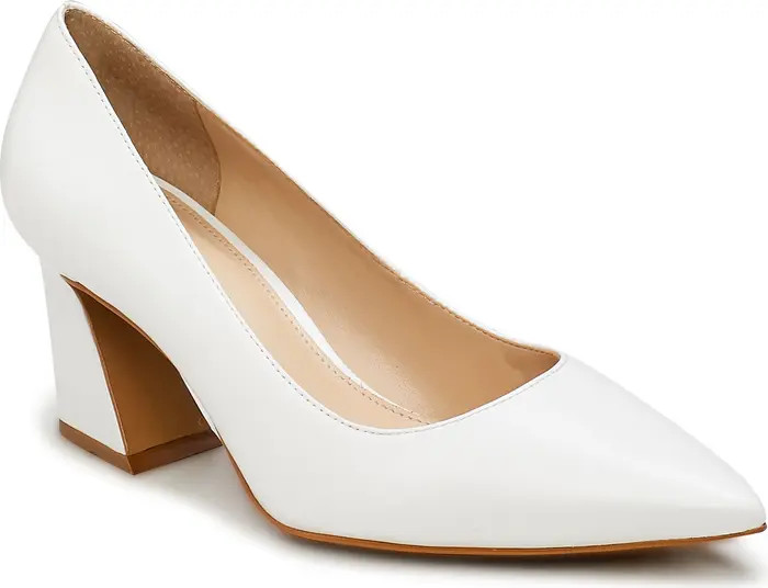 Hailenda Pointed Toe Pump (Women) | Nordstrom