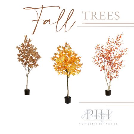 Fall faux trees to use in your home this season 🍁


#LTKhome #LTKSeasonal #LTKunder100