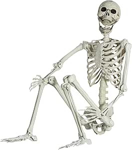 5.4Ft/165cm Posable Halloween Skeleton, Full Body Life Size Skeleton with Movable Joints for Indo... | Amazon (US)