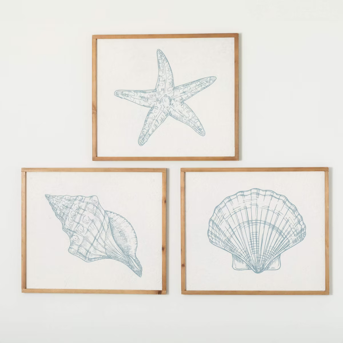 Sullivans Seashell Icons Wall Decor Set of 3 28"L; Multicolor | Target