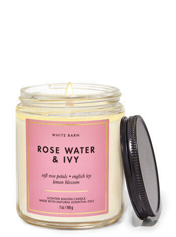 Rose Water & Ivy


Mason Single Wick Candle | Bath & Body Works
