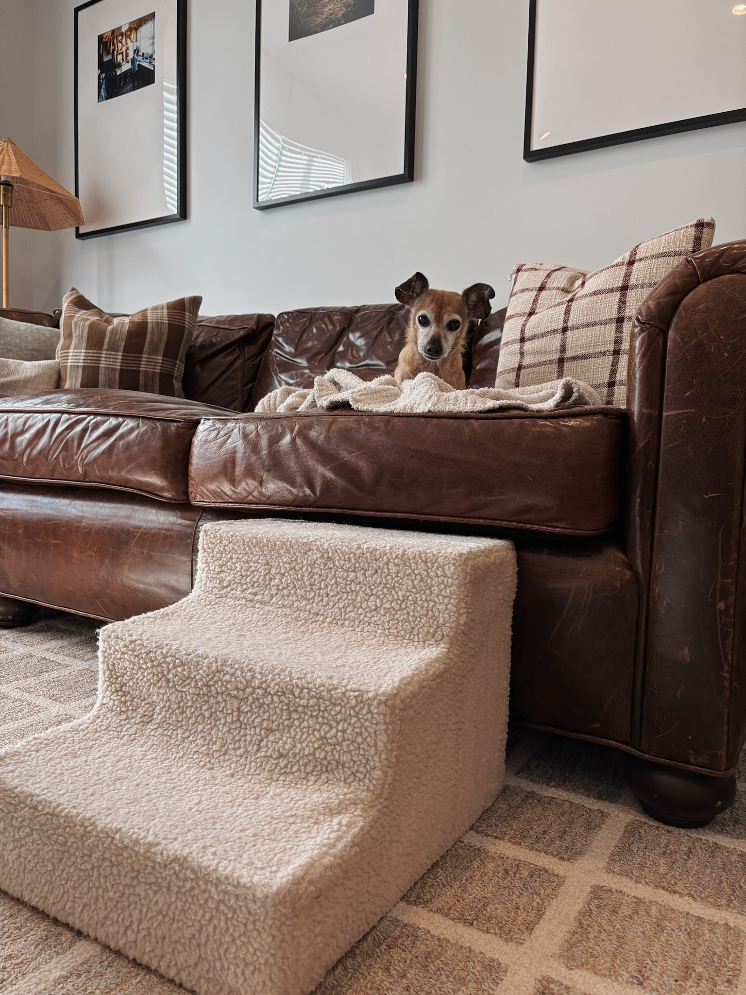 I had one hard rule when I was searching for the perfect dog steps: no foam pet stairs. 🐾 Why? They break down over time, can shed foam all over the room, and generally aren't very durable.  This is my direct experience with the last two sets that we had, so I knew it was time for a change.

These boucle pet stairs actually have a plastic core, which means they are sturdy and won't break down over time. They are lightweight, stylish, and look so good with our modern organic home decor. Yes, cute and aesthetic pet stairs actually exist! They are also machine washable by just taking off the cover, so it's a win, win! 

#wayfairpartner #wayfair @wayfair 
 

 

#LTKHome #LTKFindsUnder100 #LTKFamily