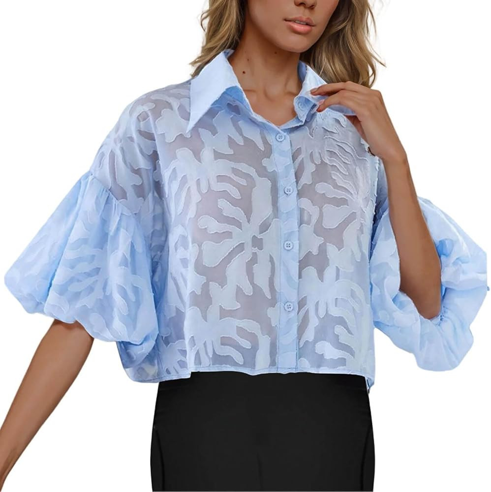 HGps8w Women's Sheer Lace Embroidery Cute Office Shirts Dressy Lantern Sleeve Lapel Tops Business... | Amazon (US)