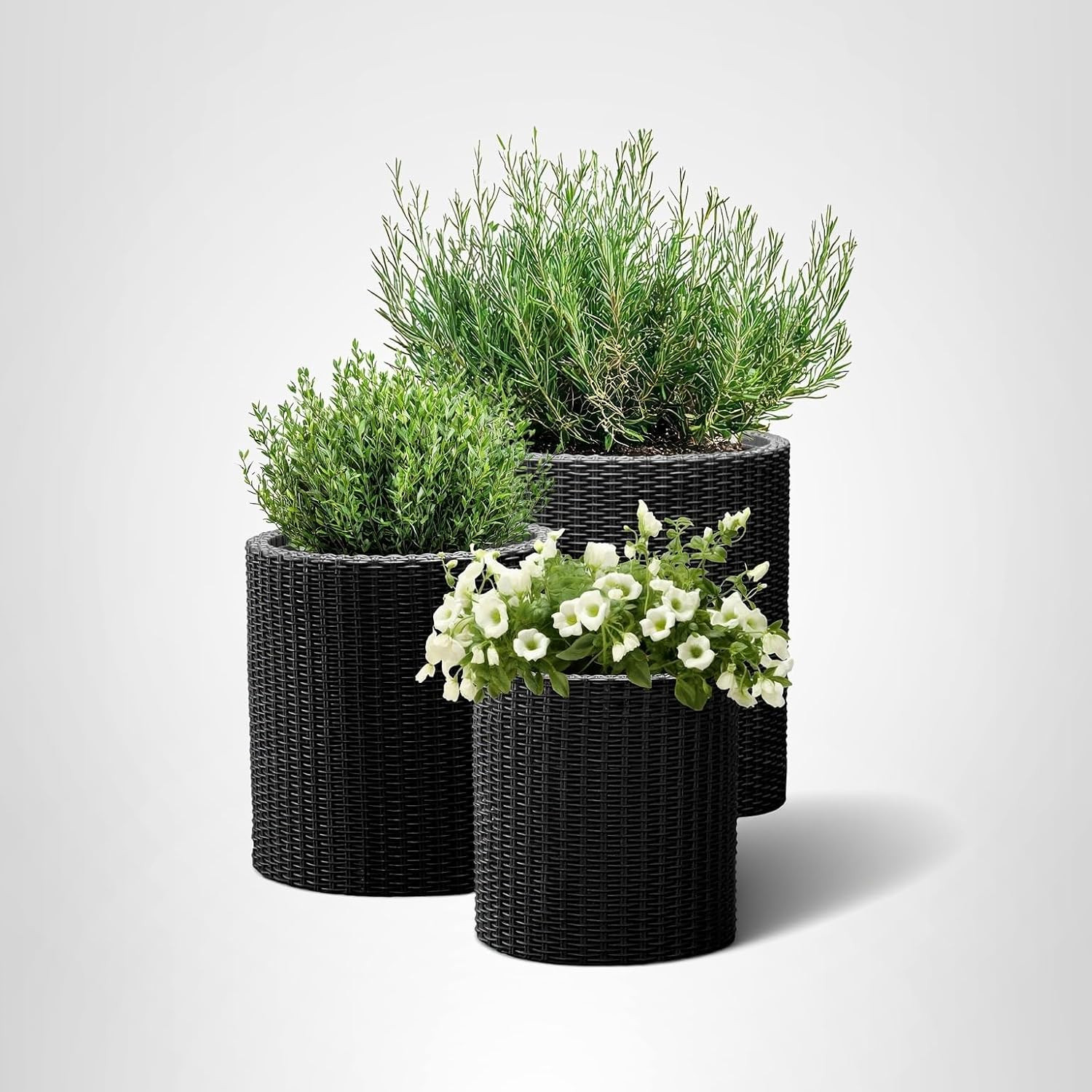 Keter Cylinder Set of 3 Rattan Resin Planter for Indoor and Outdoor Plants Ideal Decorative Plant... | Amazon (US)