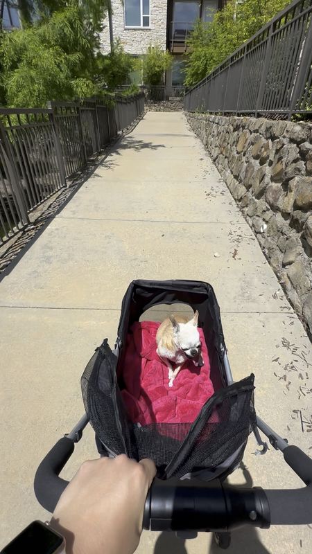 Your senior dog will love this stroller with easy access to get in!

#LTKfitness #LTKVideo #LTKfindsunder50