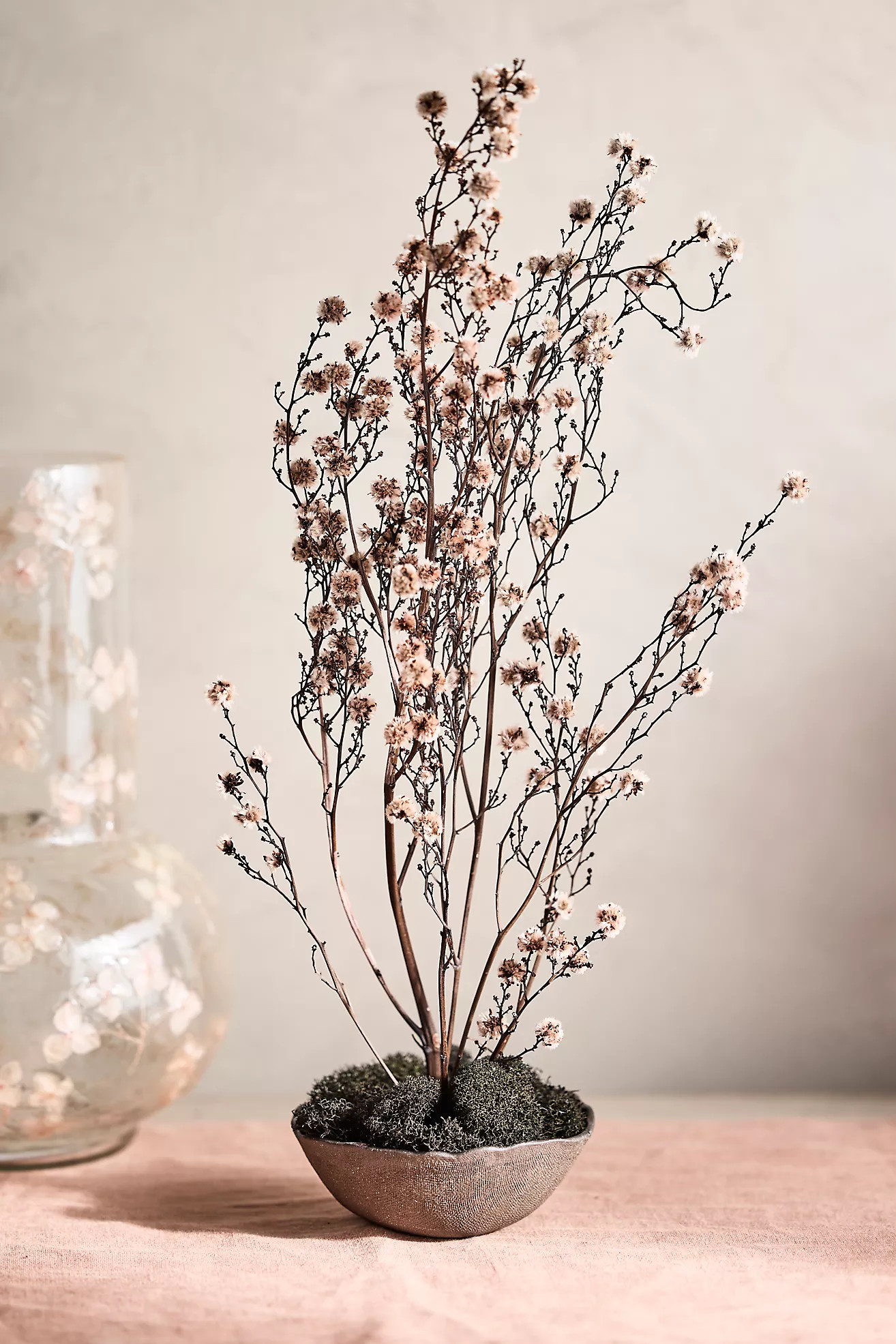 Preserved Stirlingia Bunch | Anthropologie (US)