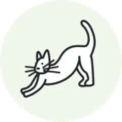 Superchill Modal Rib Long Sleeve T-Shirt | Aerie