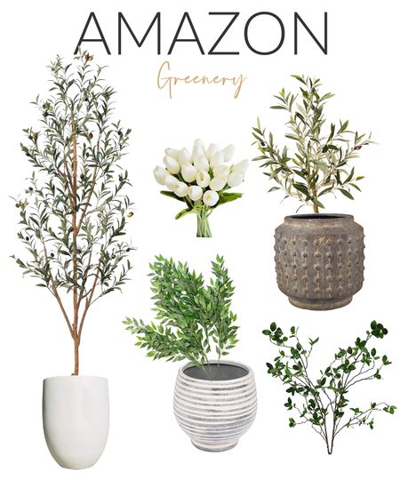 Amazon Best seller artificial plant ideas for any room. Olive tree, eucalyptus stems, tulips, pottery planters 

#LTKhome #LTKunder50 #LTKstyletip
