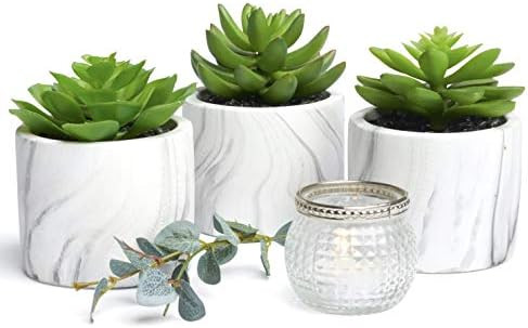 Kurrajong Farmhouse Set of 3 Artificial Succulents Plants in pots - Faux Succulents pots - Artifi... | Amazon (US)