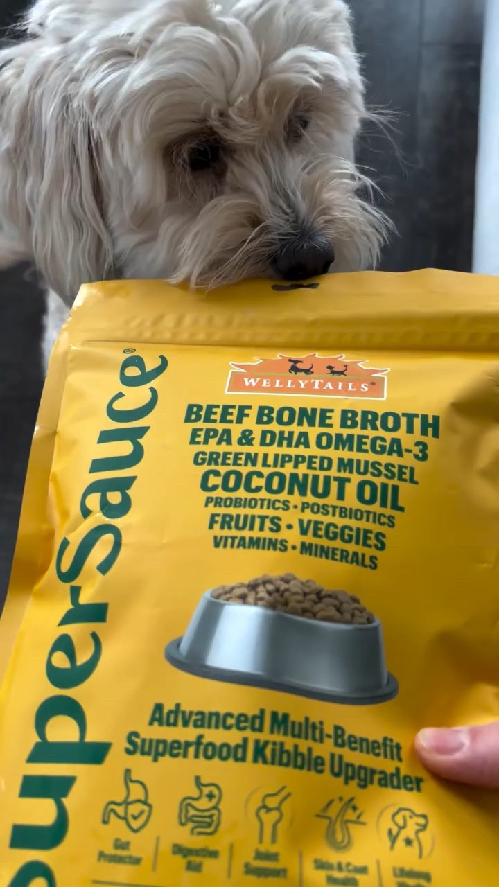 Ad | We’re trying @wellytails super sauce food topper 12-in-1 supplement 🌱It boosts mobility, digestion, immune function, heart, skin, and brain. 

We’re choosing Welly Tails bc they provide holistic nutrition for dogs and cats through natural ingredients, evidence-based supplements, and delicious homemade food 🐶🐾

Follow @wellytails for more info to see if it’s the right fit for your dog or cat too! ✨
.
.
.
.
@wellytails @stackinfluence #wellytails #wellytailspartner #sponsored #dogfoodtopper #dogfood
