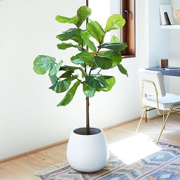 Faux Fiddle Leaf Fig Plant | West Elm (US)