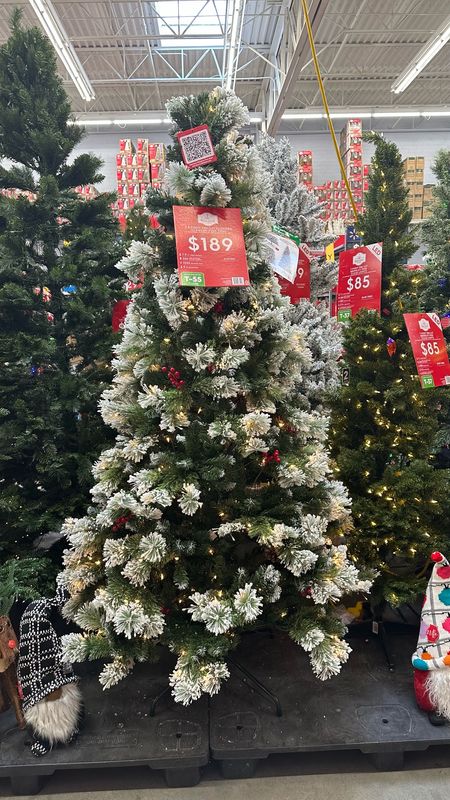 Is this what heaven looks like? Count me in! These trees are bringing the MAGIC to the holidays this year with such low prices!

#LTKHolidaySale #LTKSeasonal #LTKHoliday