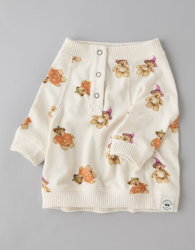 ABO Pumpkin Bear Plush Dog PJ Shirt | American Eagle Outfitters (US & CA)