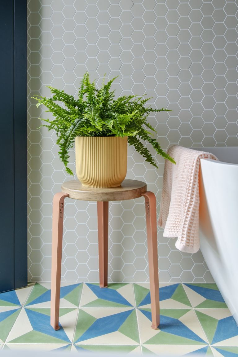 Boston Fern | H&M (UK, MY, IN, SG, PH, TW, HK)