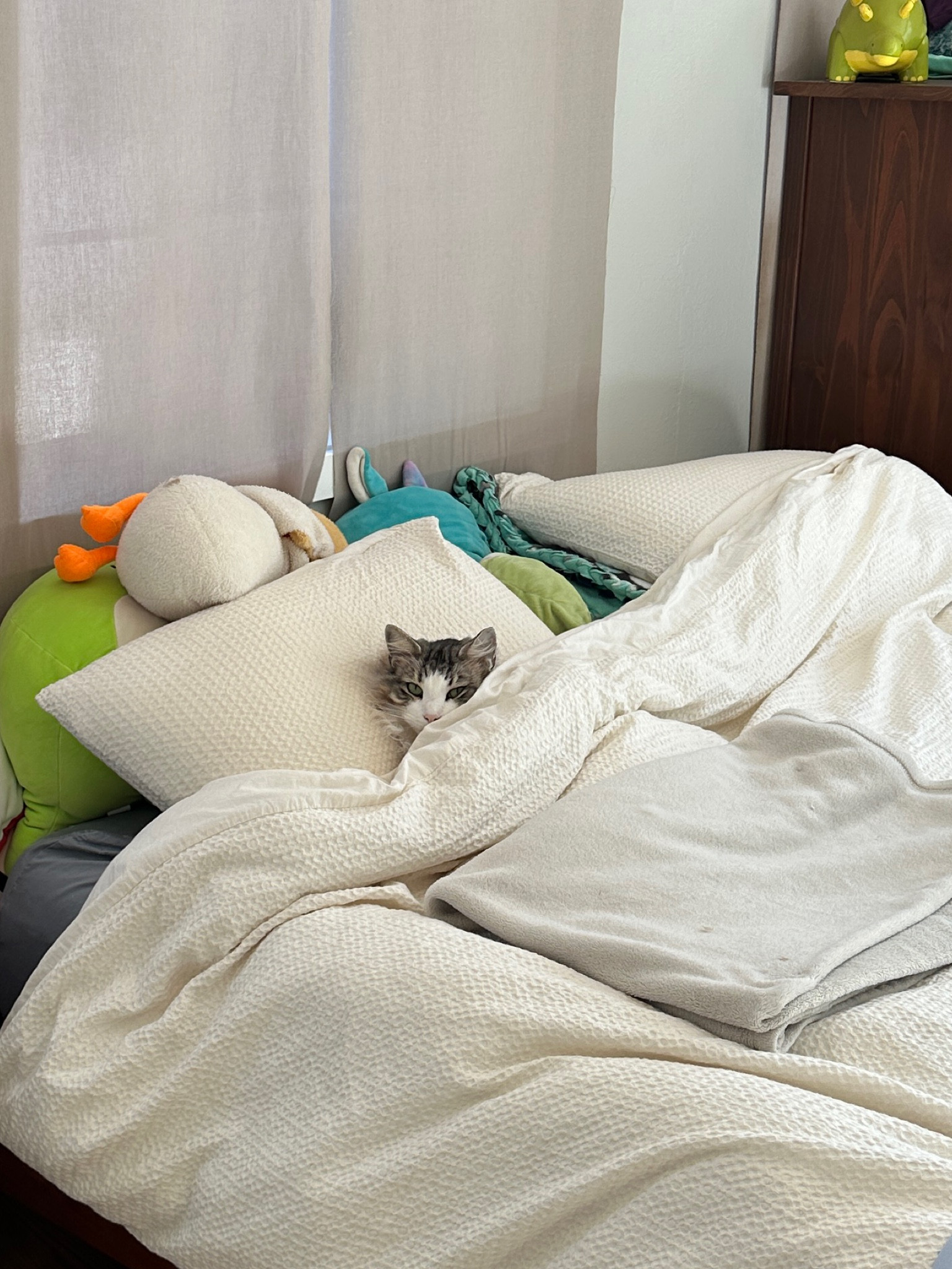 Timeless duvet set for your bed. Comfy & lightweight. I have the undyed color!

#LTKFindsUnder100 #LTKSeasonal #LTKHome