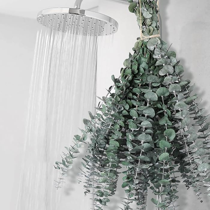 12 PCS Dried Eucalyptus Stems for Shower - 17" Preserved Eucalyptus Stems Shower Plant, Fresh Rea... | Amazon (US)