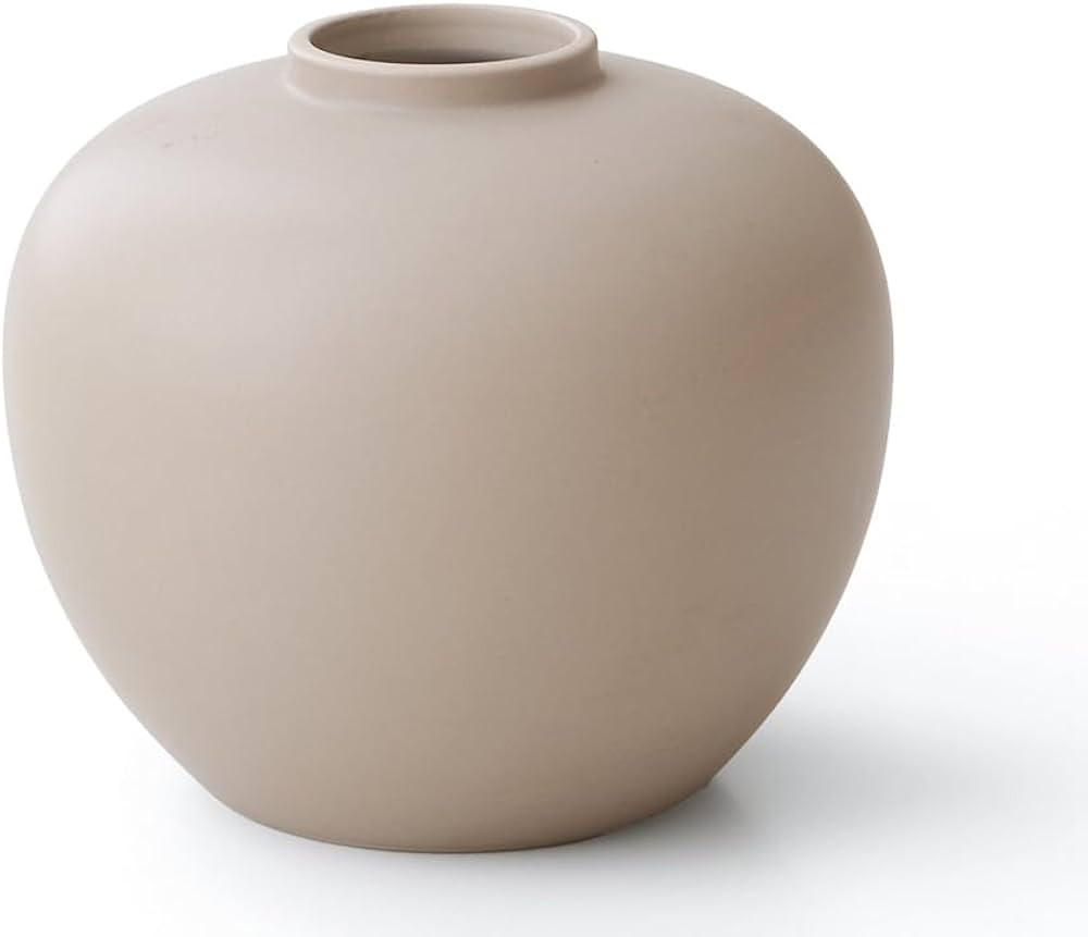 Full Moon Designed Vase, Shaping Flower Art and Displaying Hydroponic Plants, 6.5" × 7.2" (Cocon... | Amazon (US)