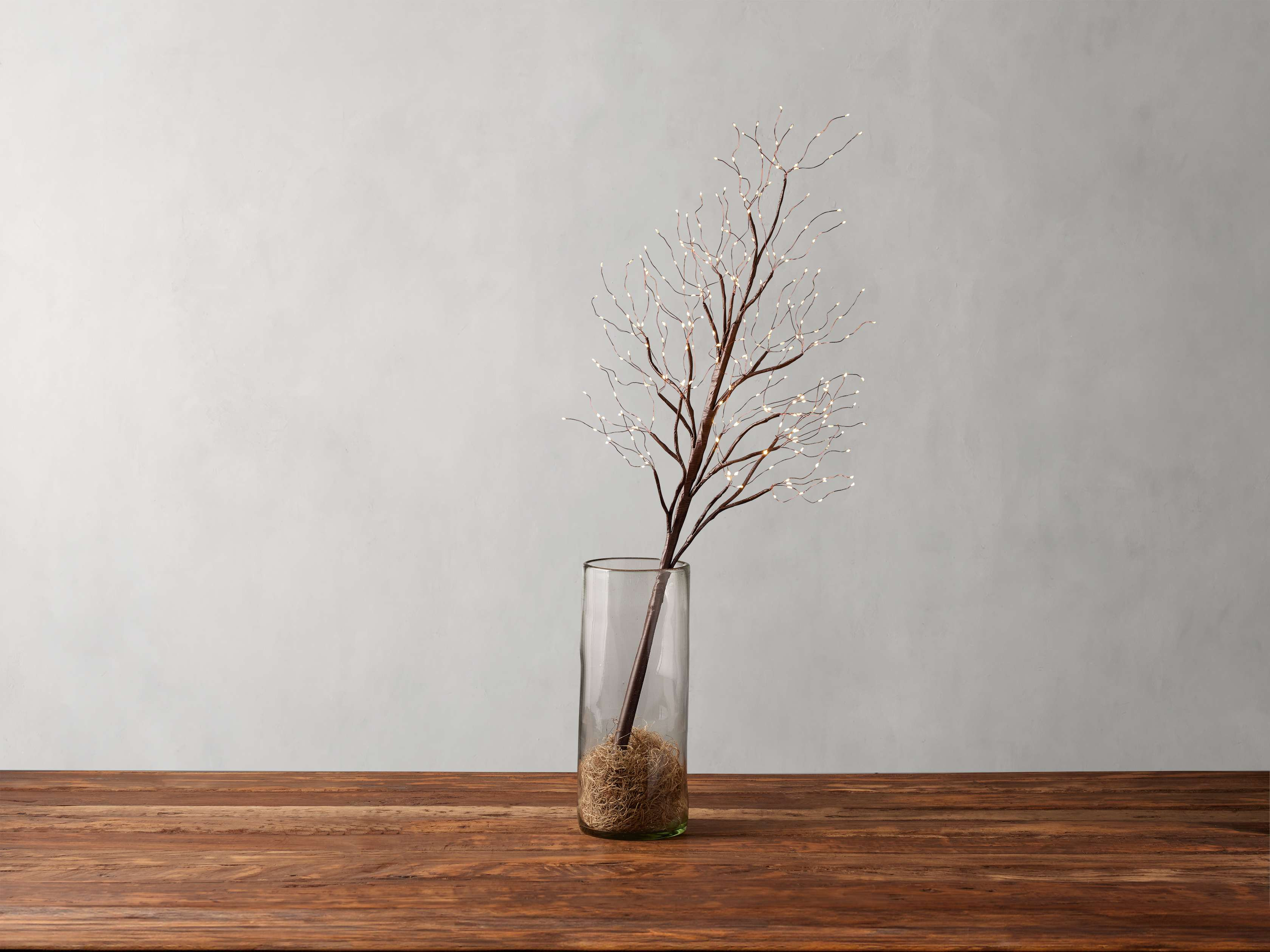 String Light Branch in Brown | Arhaus