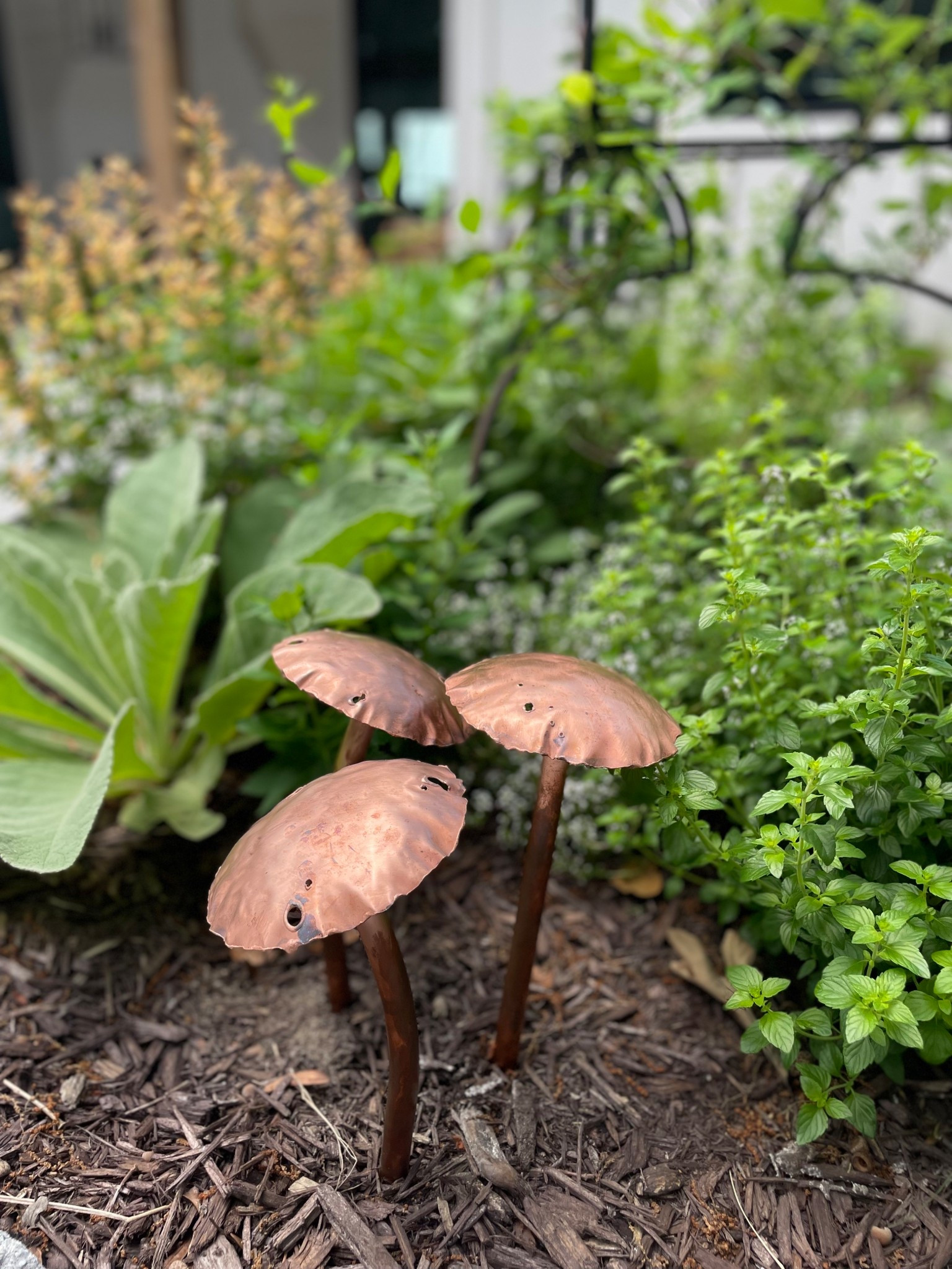One of my favorite garden touches 🍄 

Added last summer, these copper mushrooms from a sweet family business have aged into the prettiest patina

#Etsy #EtsyFinds #gardening 

#LTKSeasonal #LTKHome