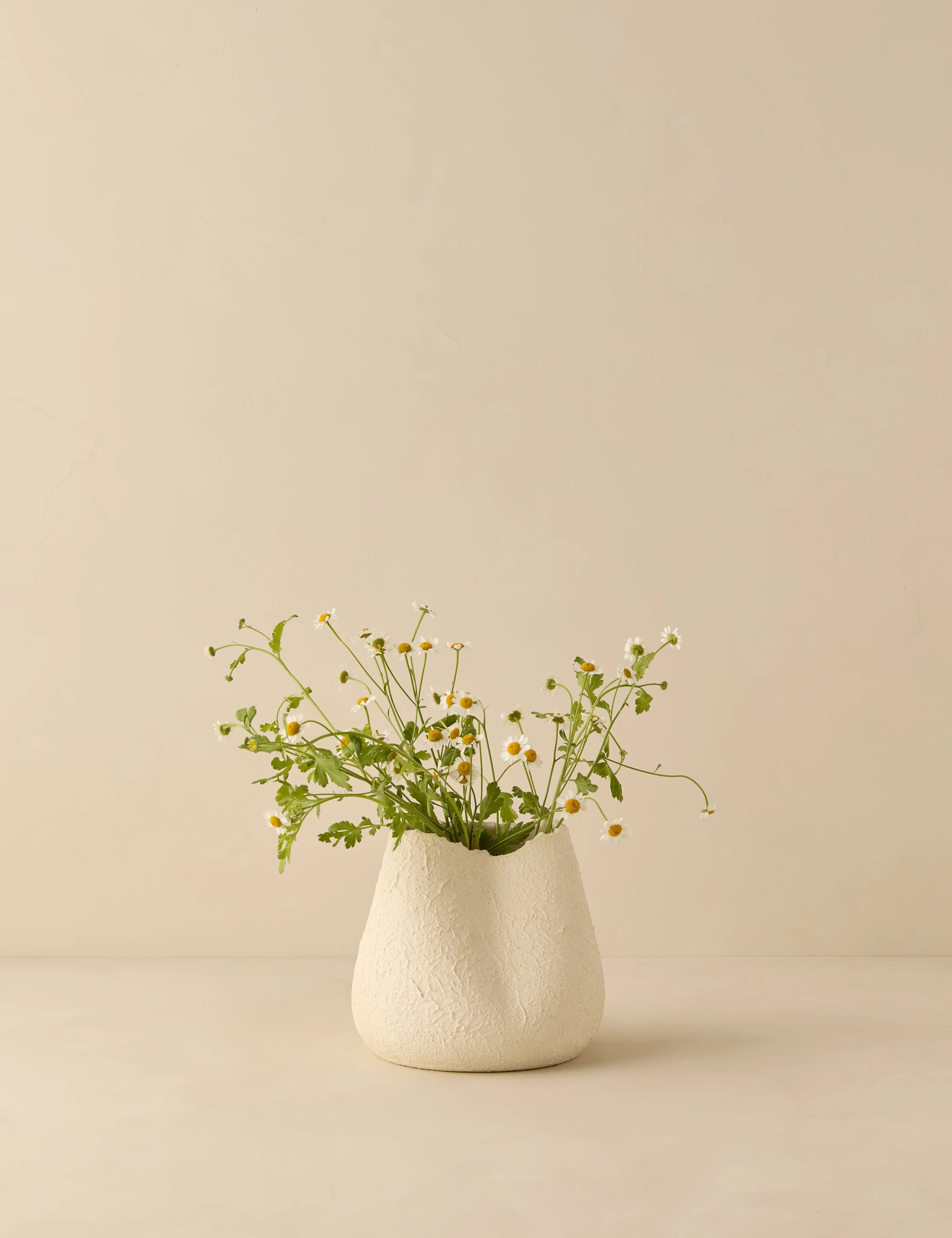 Phoebe Vase | Lulu and Georgia 