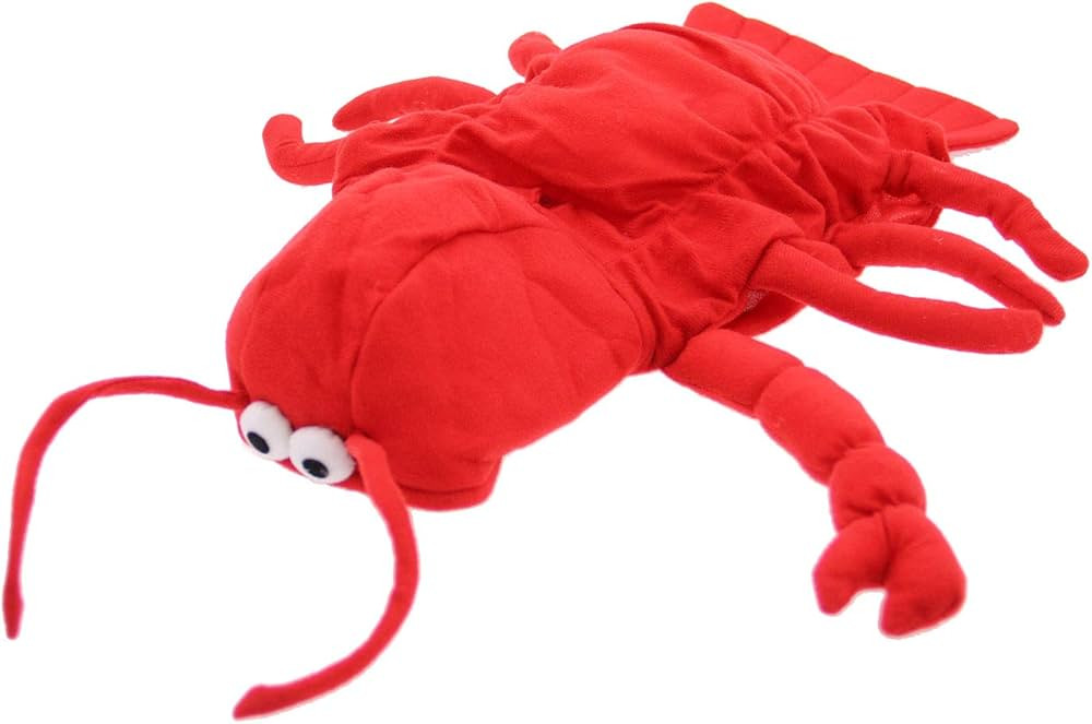 Lobster Paws Dog Costume, Medium (fits lengths up to 16"), Red-Orange | Amazon (US)