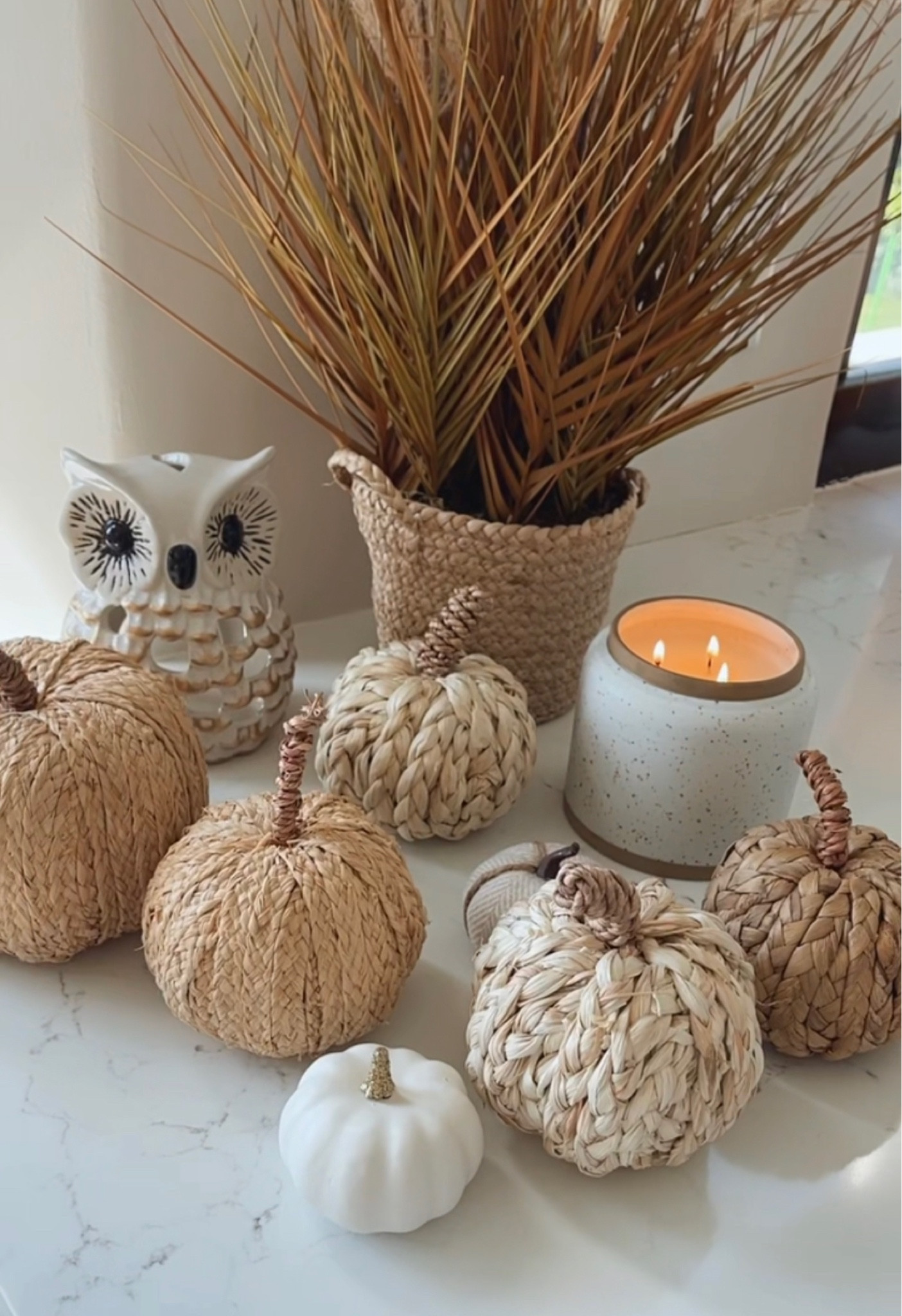 Pumpkin decor 

#LTKunder50 #LTKsalealert #LTKSeasonal