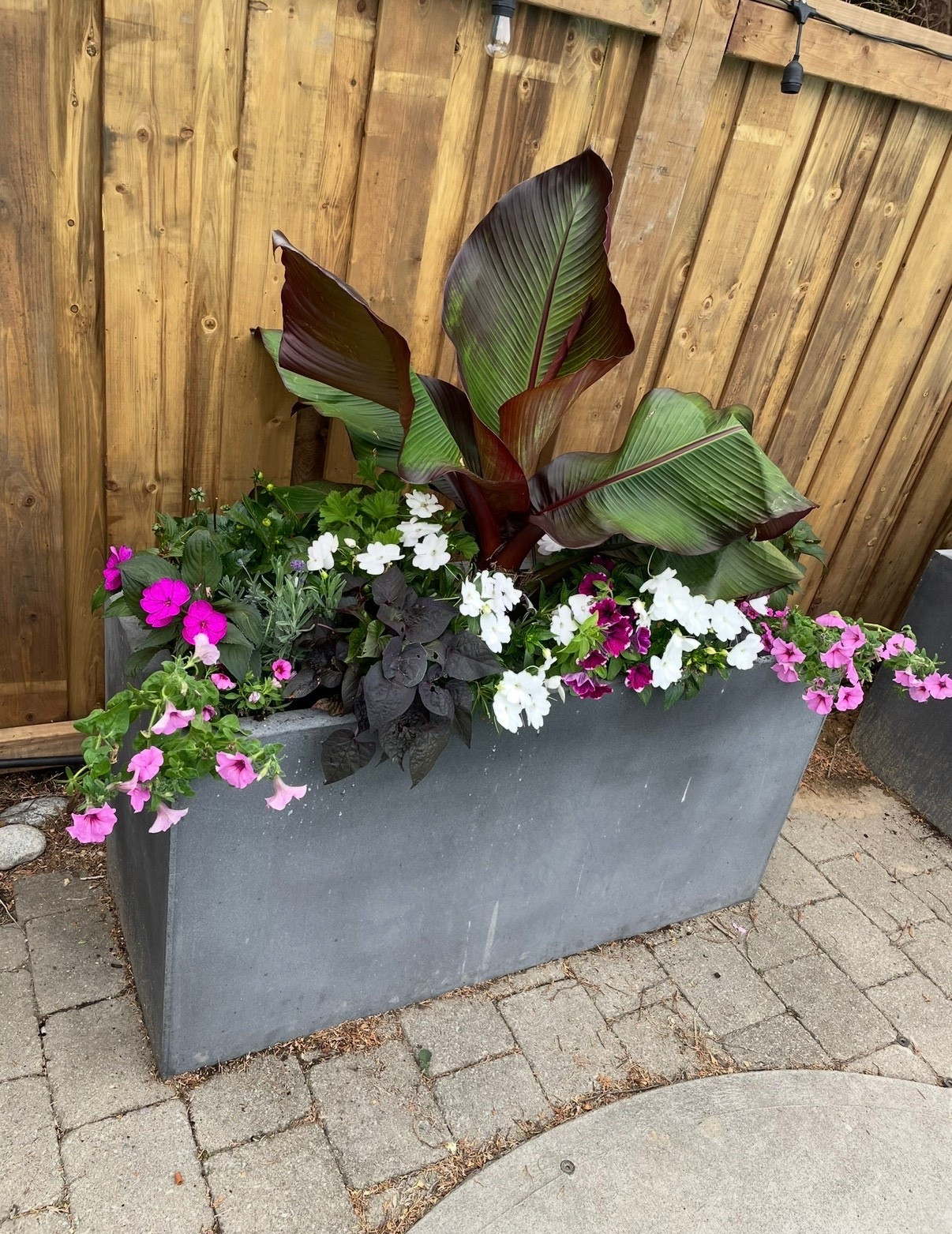 Love a larger rectangular planter! Especially along a fence line 

#LTKsale #LTKsummer #LTKhome