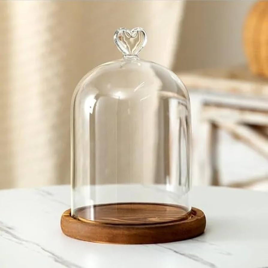 12 * 16cm Big Size Antique Base Different Top Glass Dome Vase Home Decoration Transparent Candle ... | Amazon (US)