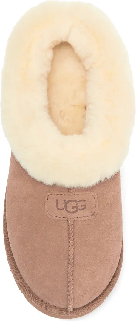 UGG® Tazzette Genuine Shearling Collar Slipper (Women) | Nordstrom | Nordstrom