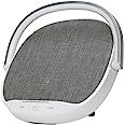 SonicPower POWRPLAY, 4-in-1 Bluetooth Speaker with Wireless Charging and Table Lamp, Dual Surroun... | Amazon (US)