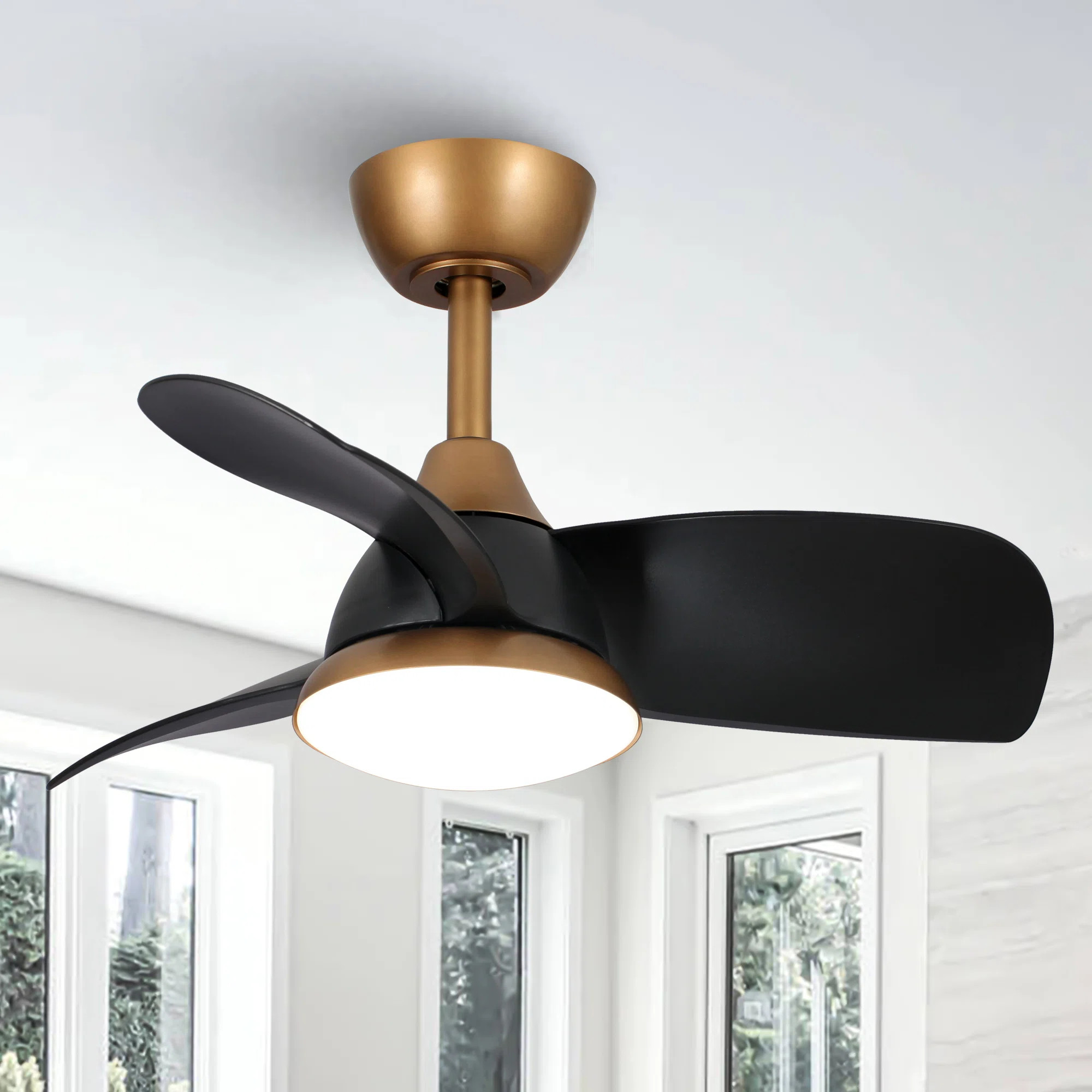Haywa 28'' Ceiling Fan with LED Lights | Wayfair North America
