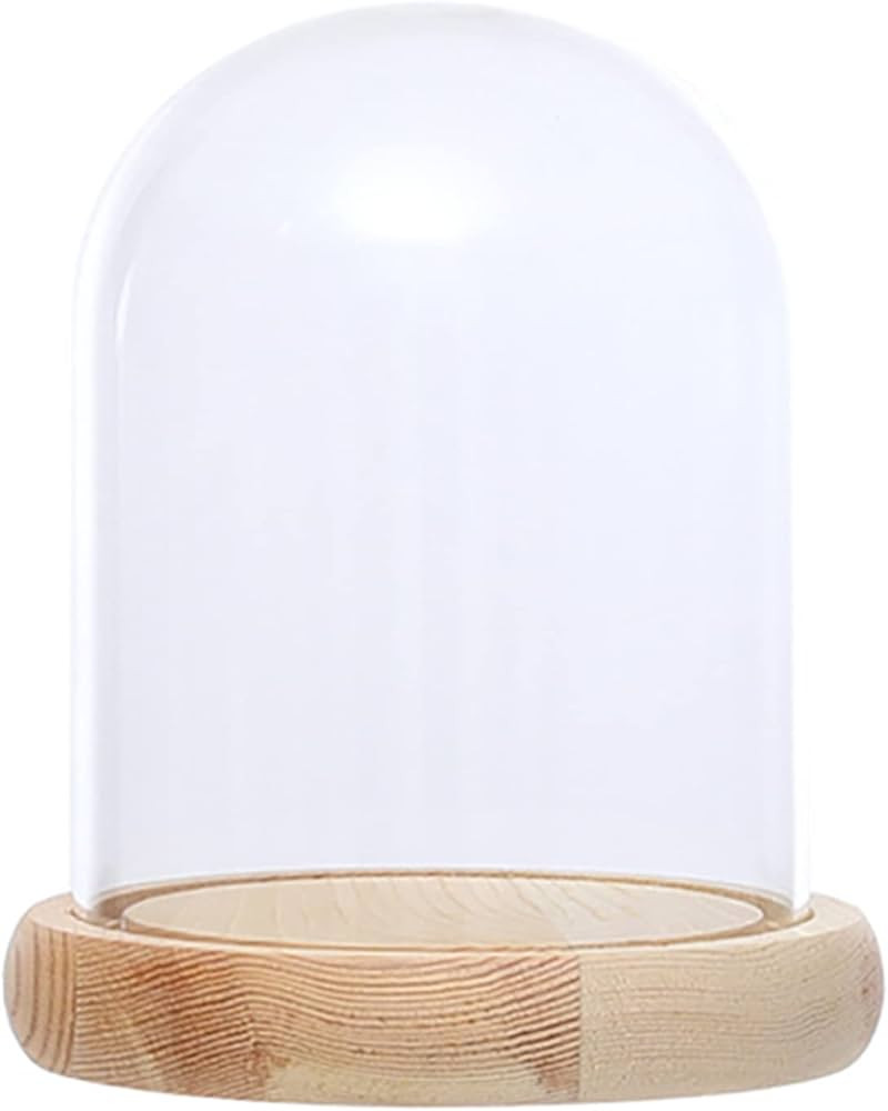 Ivolador 4.9" x 3.1" Glass Display Cloche Dome with Solid Wood Base Large Size Office Home Decora... | Amazon (US)