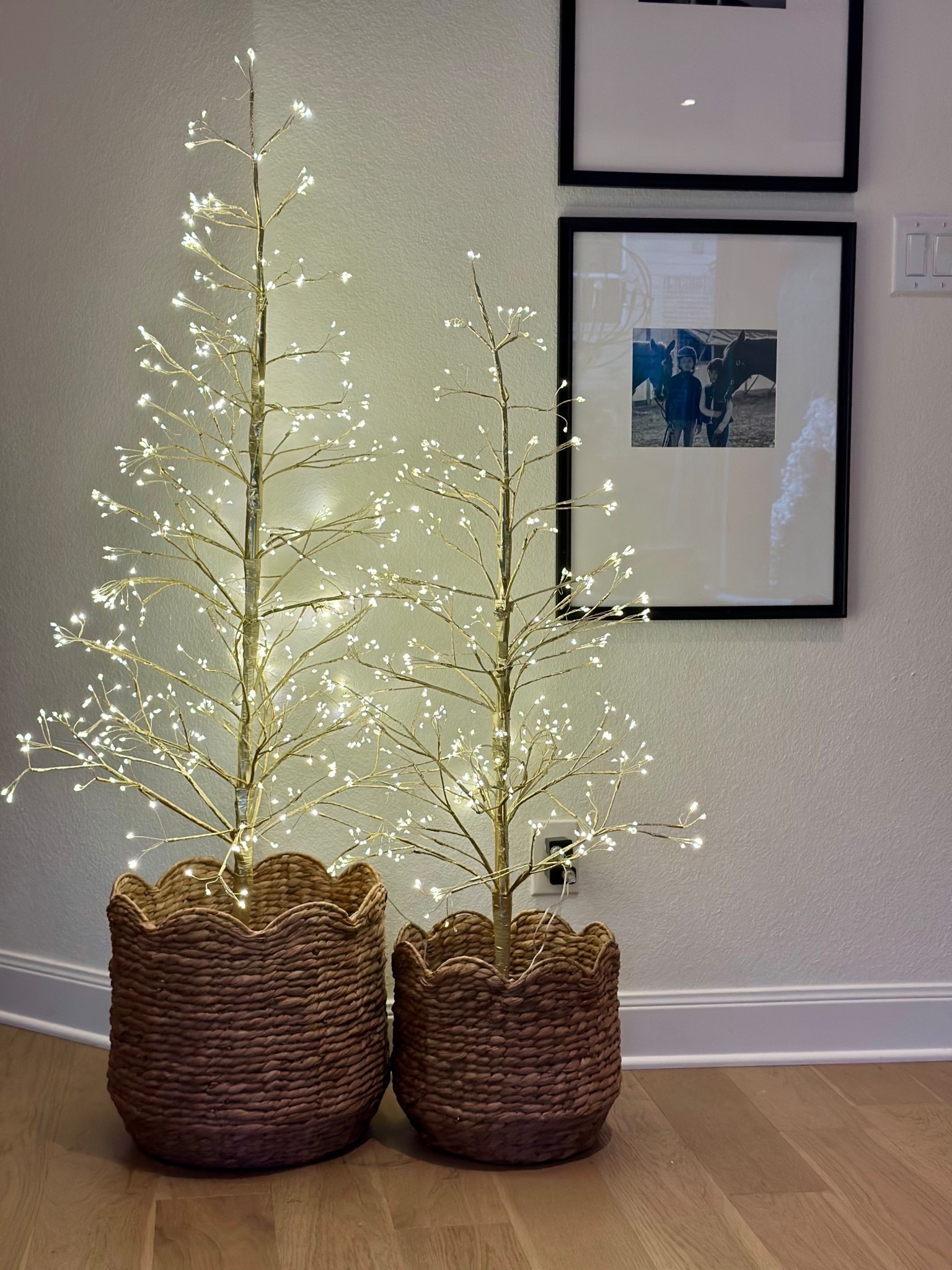 These were such a great find last year and back again!🌲

Twinkle tree
Christmas tree
Starburst tree
Christmas decor

#LTKSeasonal #LTKHome