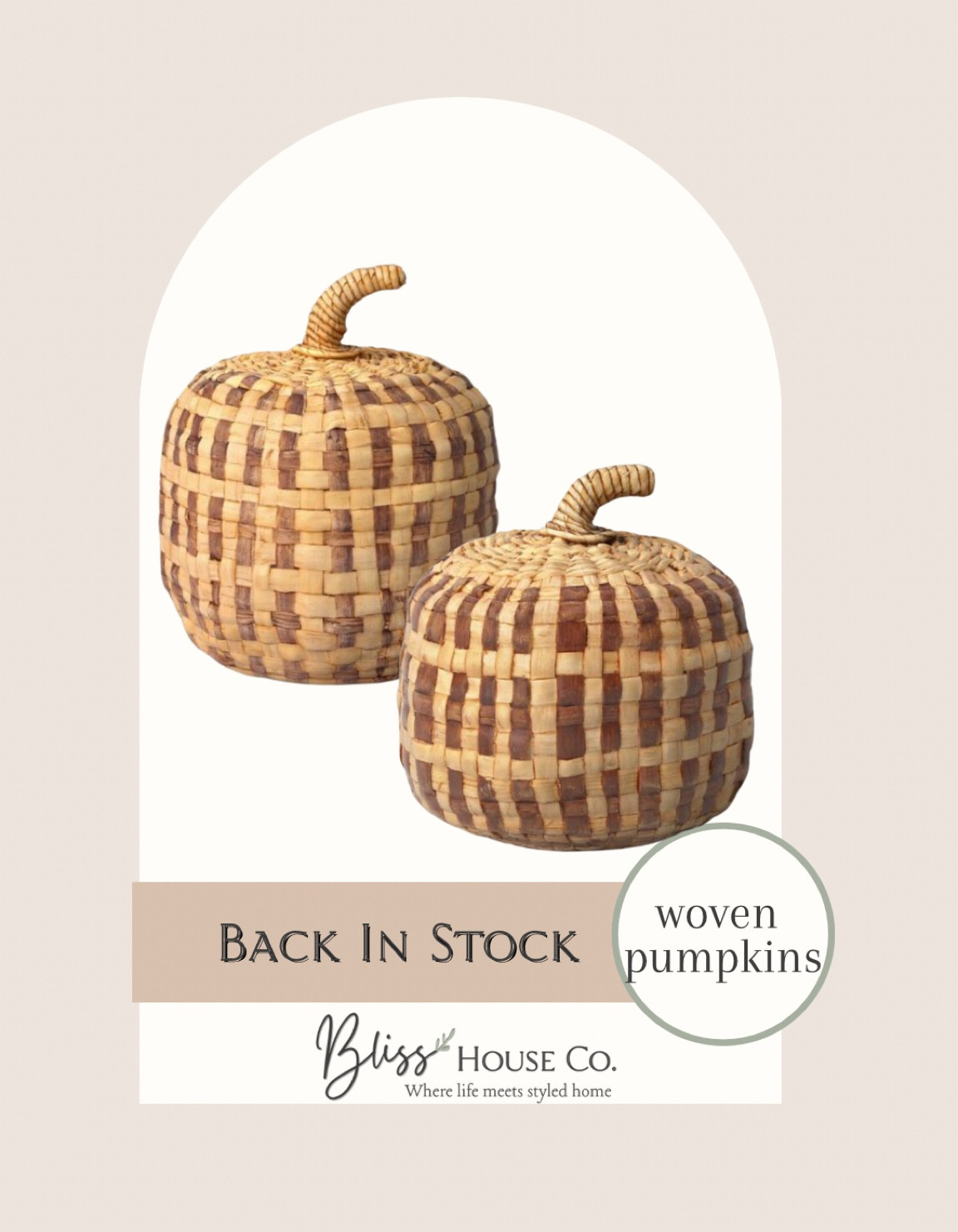 Target Thresholds woven pumpkins! 



Table, affordable, home decor, vase, chair, mirror, art, side table, coffee table, bed, rug, Loloi, dresser, bedroom, living room, dining room, boys room, girls room, desk, desk chair, art work, electronic, prime, Alexa, anthropologie, Target, Walmart, crate and barrel, pottery barn, Kirklands, outdoor living, dining room, living room, digital downloads, bench, patio, furniture, 

#LTKsalealert #LTKstyletip #LTKSeasonal
