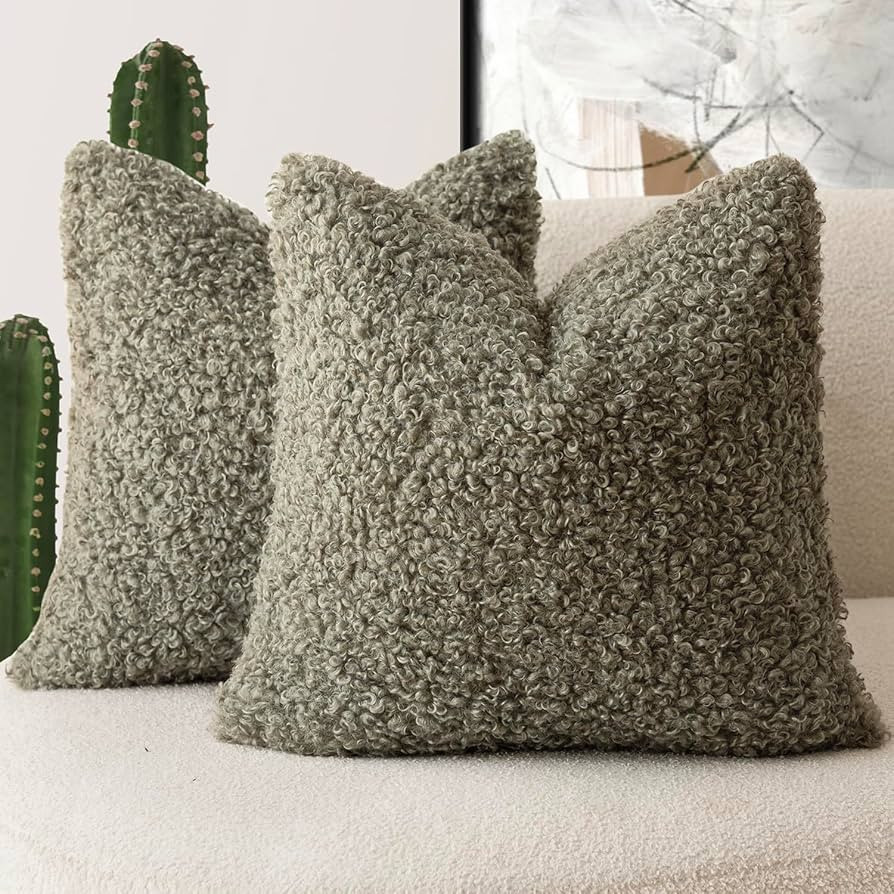 Foindtower 2 Pieces 20x20 Inch Sage Green, Faux Fur Throw Pillow Cover Accent Sherpa Pillow Fuzzy... | Amazon (US)
