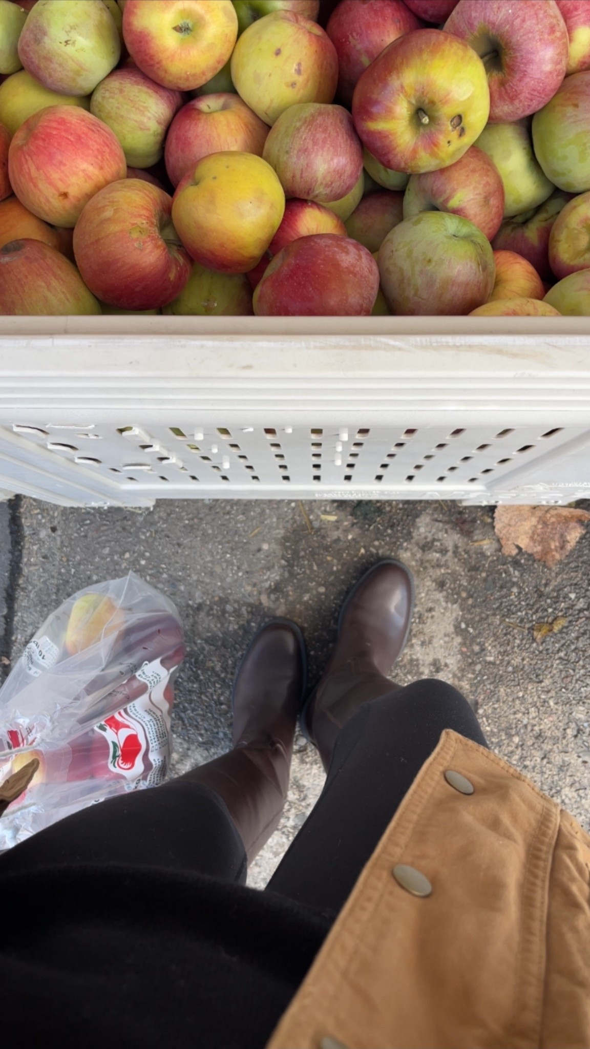 my go-to fall boots🤎

#LTKfall #LTKcanada #LTKstyletip