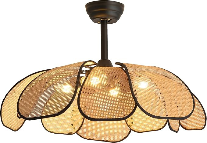 26 Inch Fandelier Rattan Ceiling Fans with Lights and Remote,Boho Black Chandelier Ceiling Fan fo... | Amazon (US)