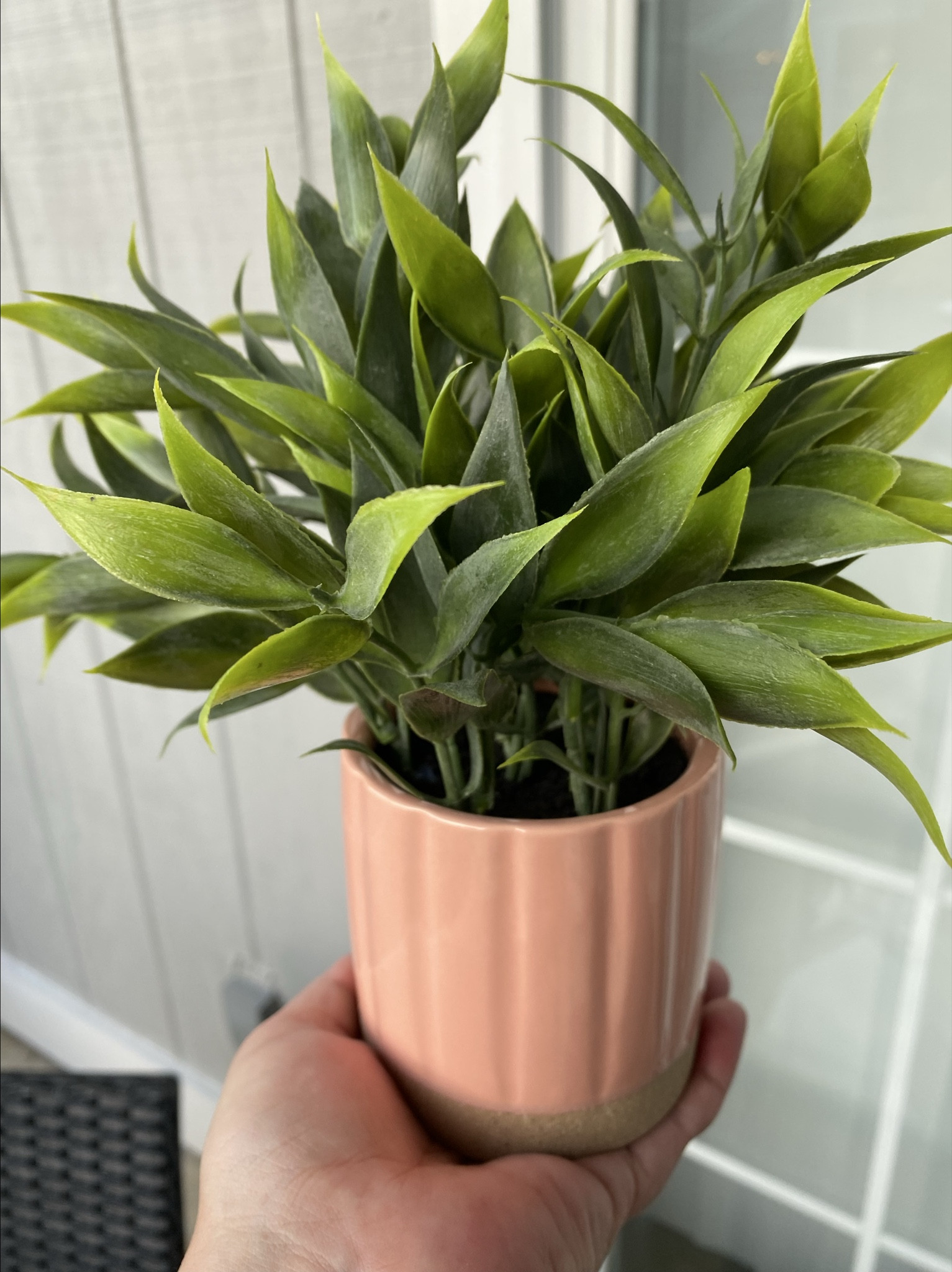 Faux plant & cute scalloped flower pot.

#LTKSeasonal