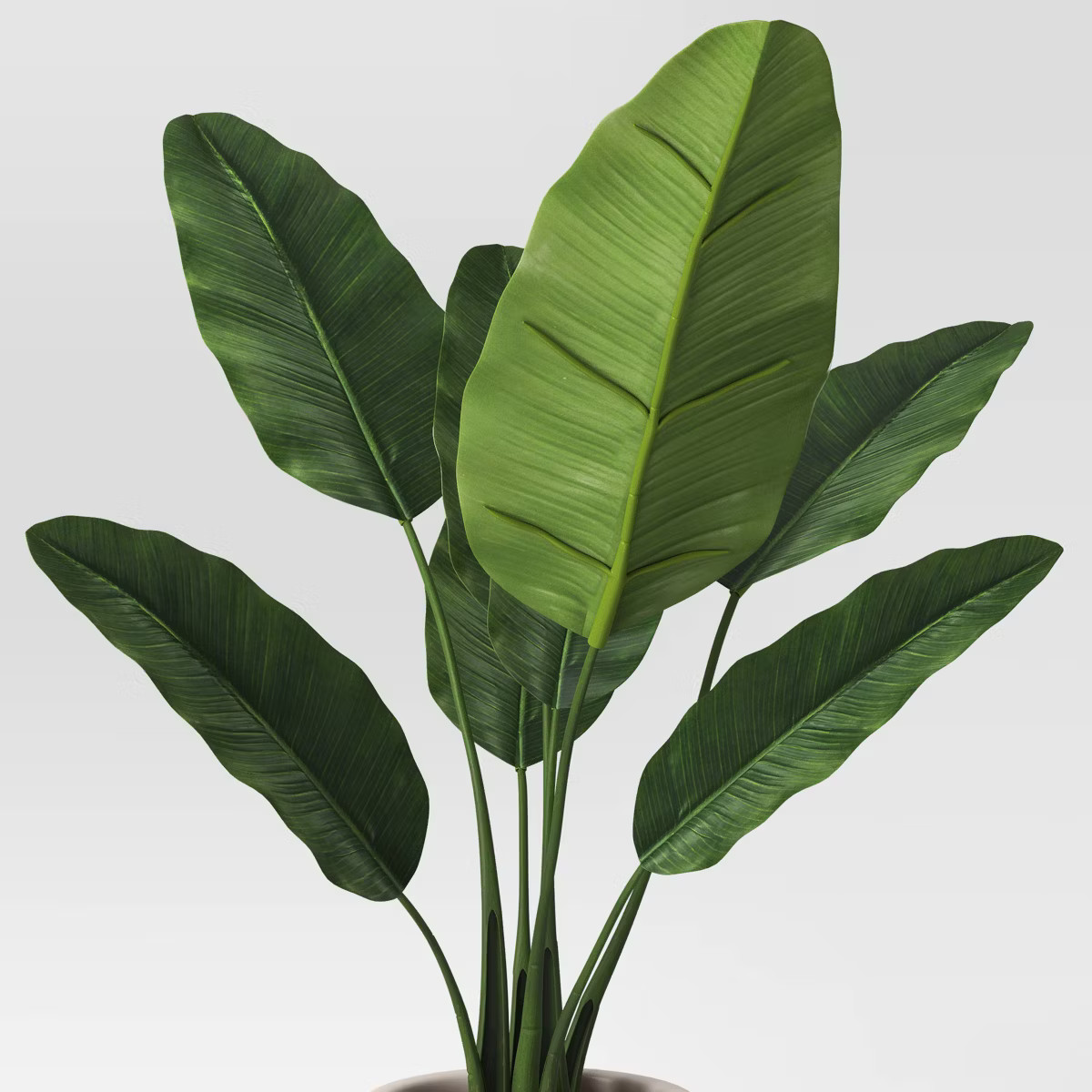 Large Banana Leaf Potted Plant - Threshold™ | Target