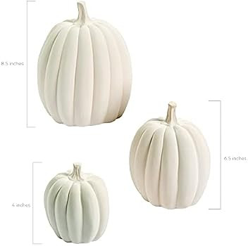 Fun Express DIY Decorative White Pumpkins, Ceramic - 3 Different Sizes - Fall and Halloween Home ... | Amazon (US)
